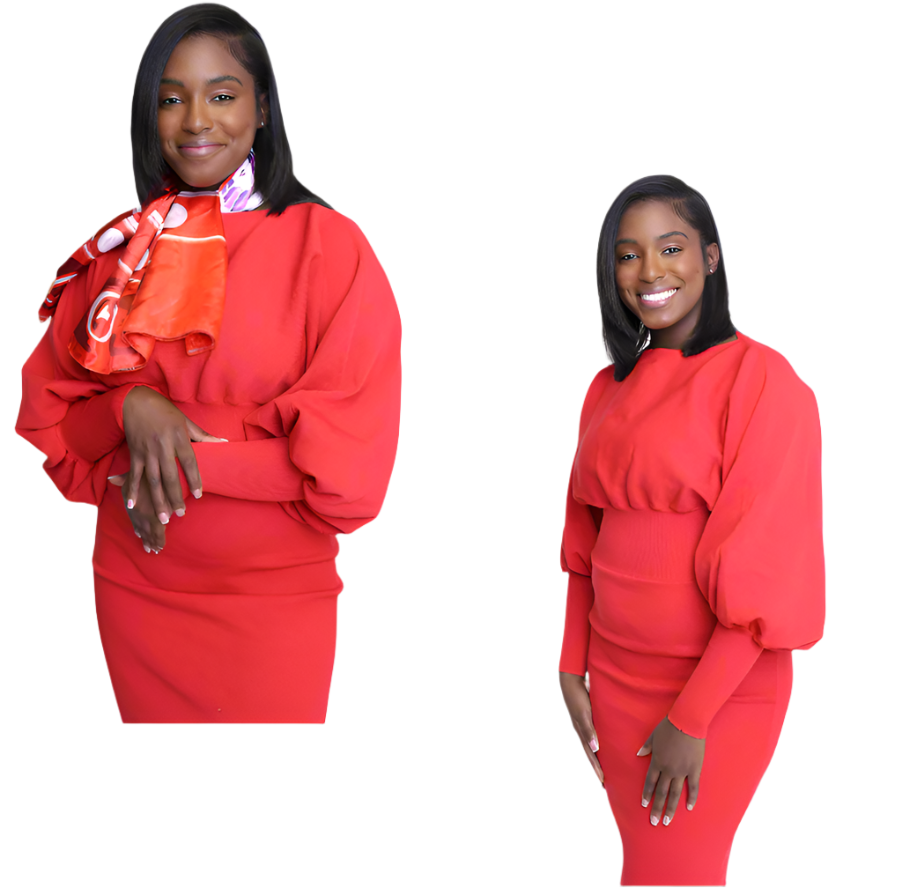 The Perfect Red Lantern Sleeve Knit Dress