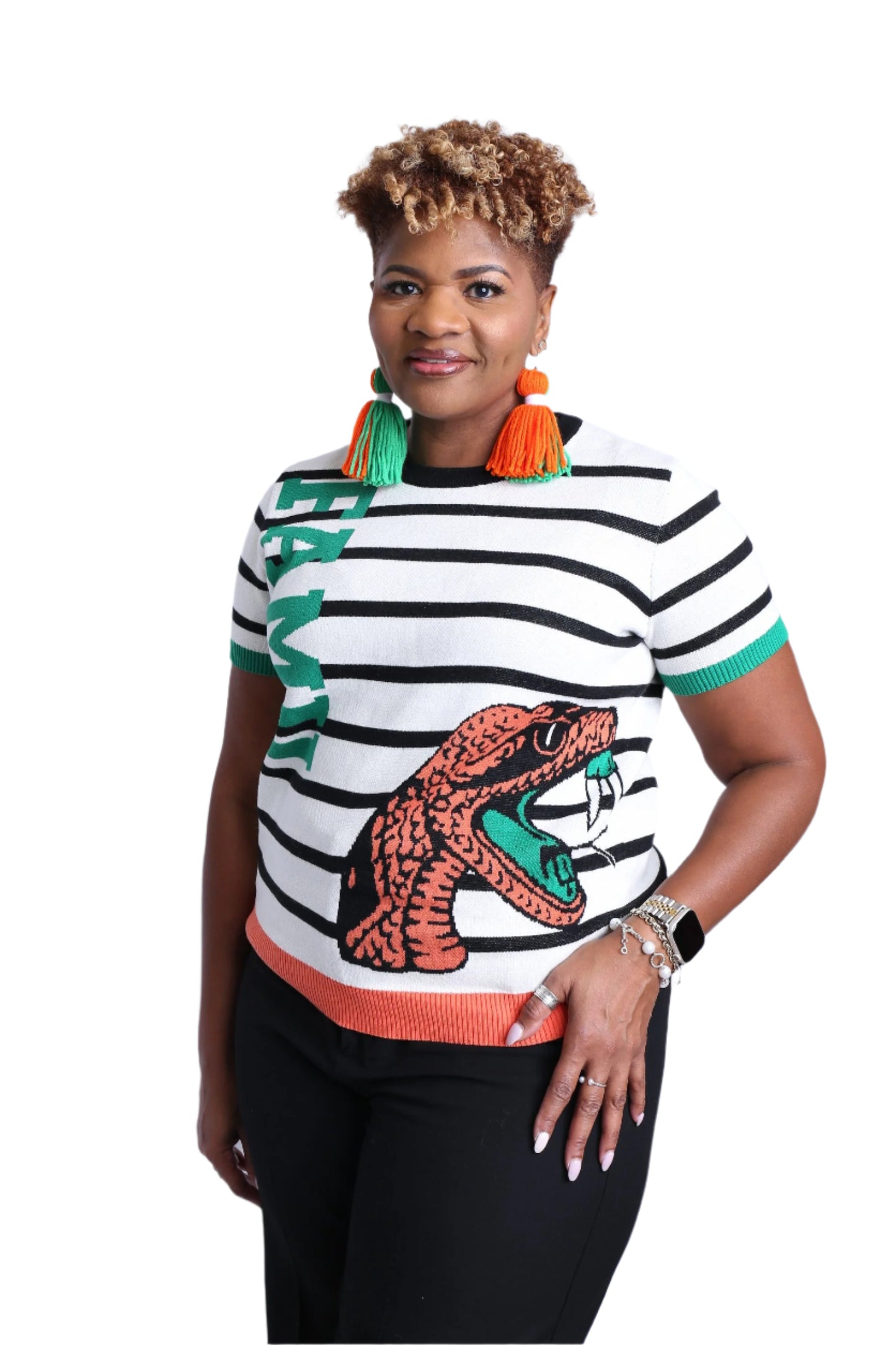Not Like Us: FAMU Knit Sweater