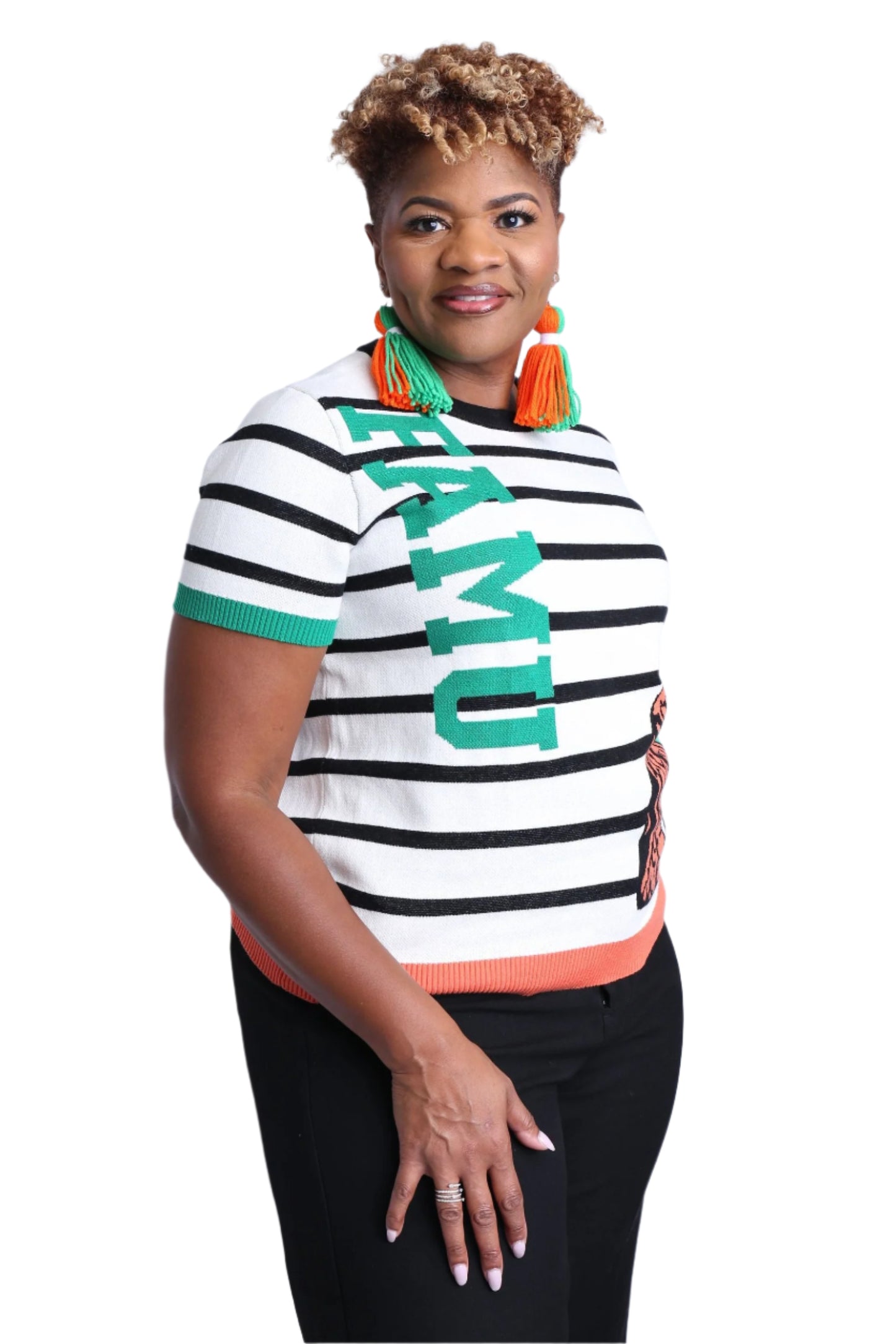 Not Like Us: FAMU Knit Sweater
