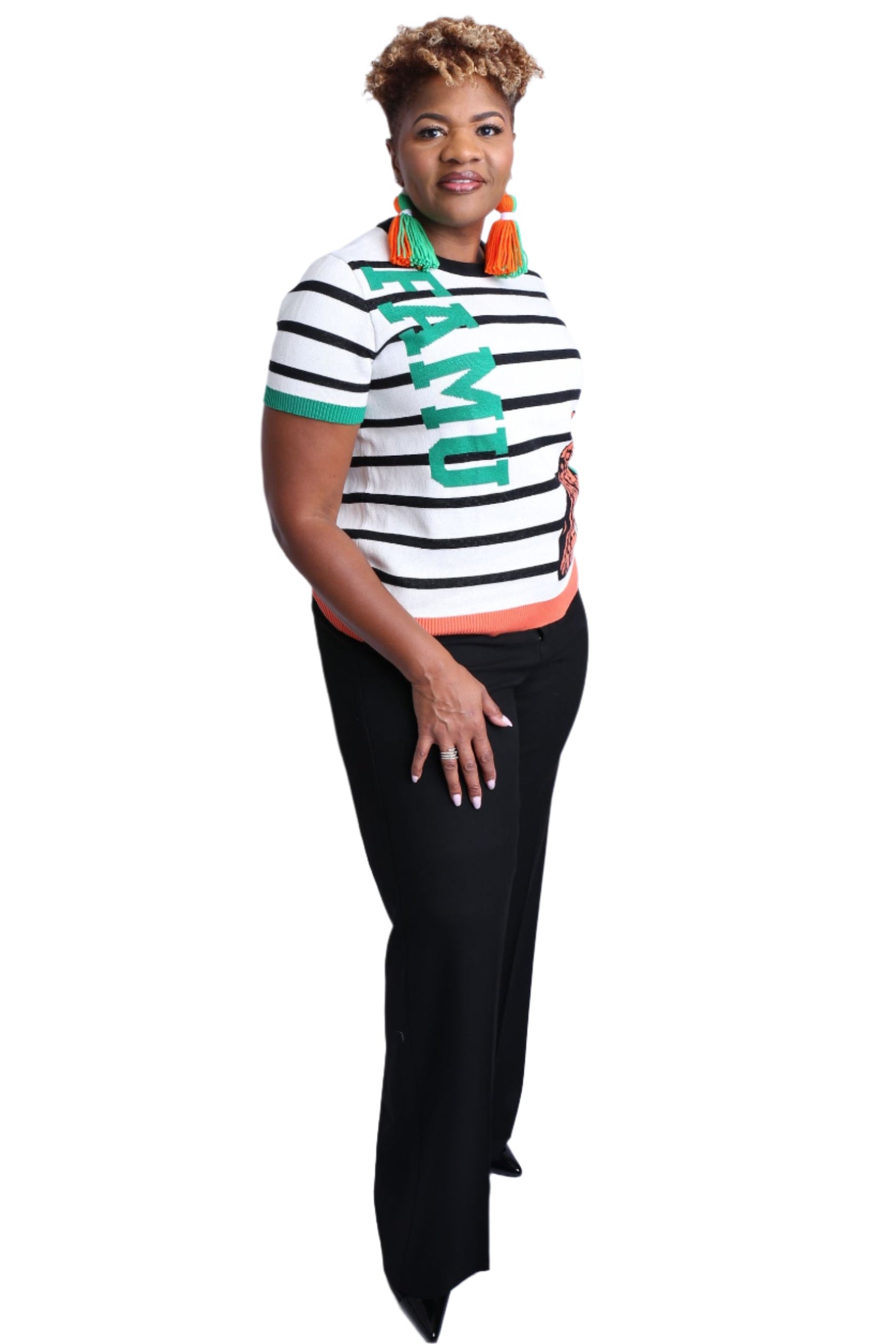 Not Like Us: FAMU Knit Sweater