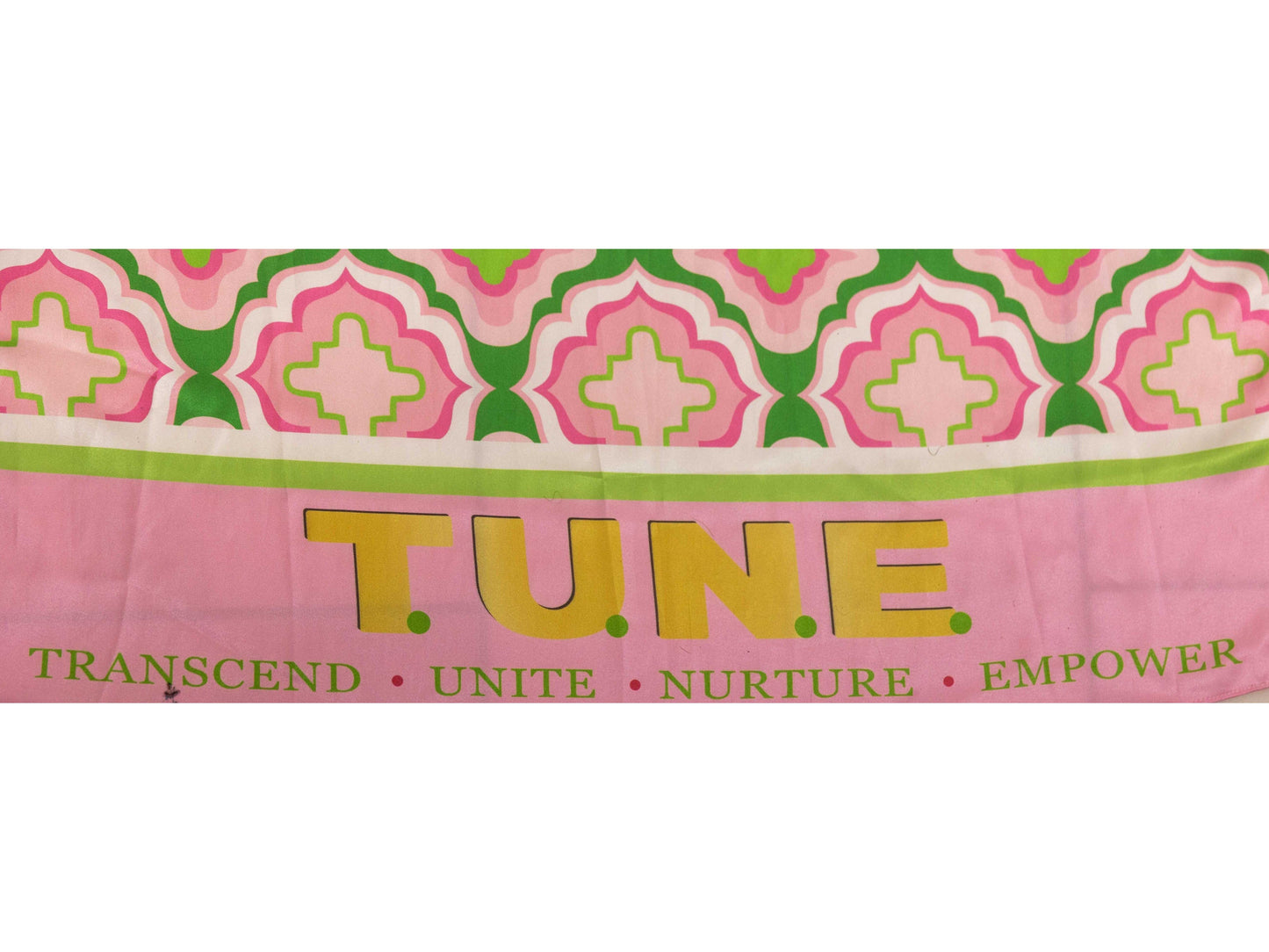 South Atlantic Region Scarf: T.U.N.E.